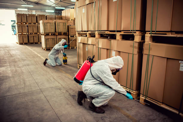 Best Affordable Pest Control Services  in Mount Vernon, IL