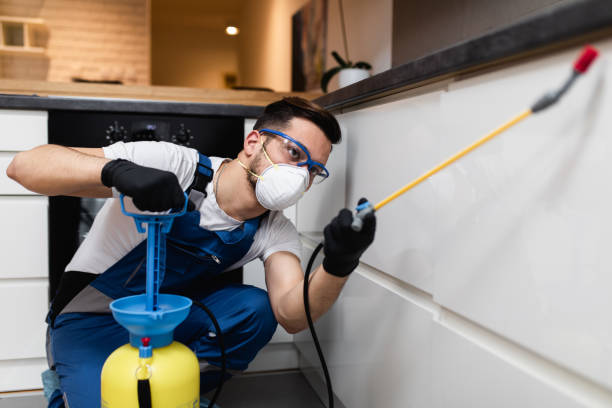 Best Affordable Pest Control Services  in Mount Vernon, IL