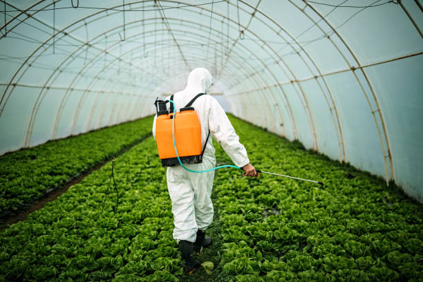 Best Commercial Pest Control Services  in Mount Vernon, IL