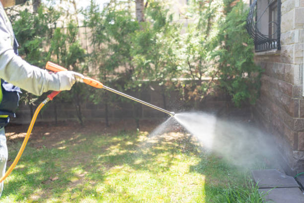 Best Flea Control Services  in Mount Vernon, IL