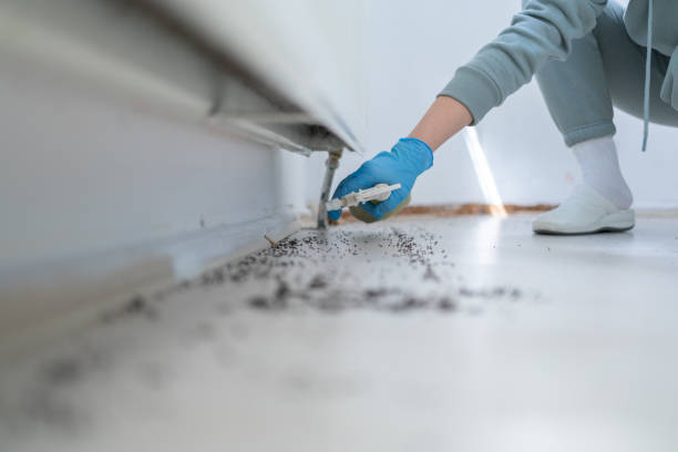 Best Rodent Control Near Me  in Mount Vernon, IL